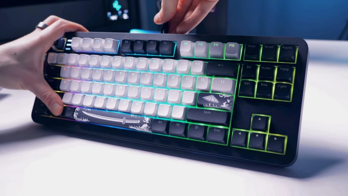 bushido-rgb-edit.webp