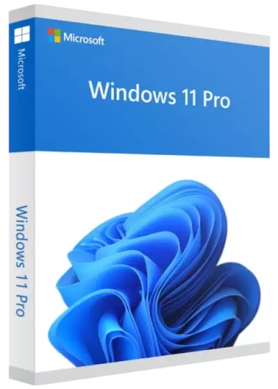 Windows 11 Pro